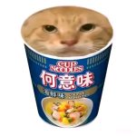 略猫区666的头像-Srenix次元档案馆